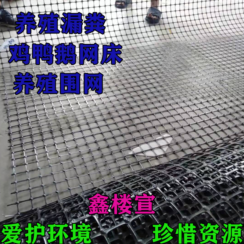 土工格栅养殖围网鸡鸭鹅垫脚漏粪网防晒防腐蚀围网路基塑料围栏网