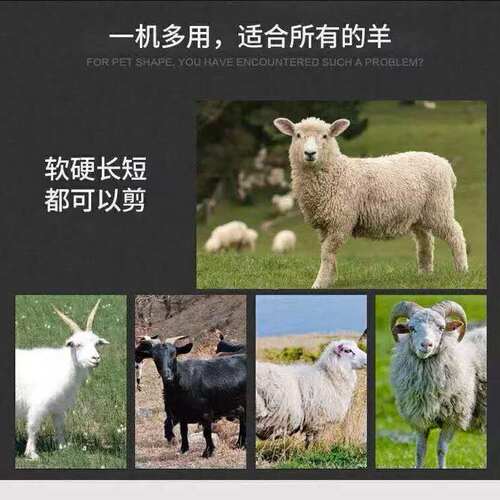 利特锐羊毛电推剪宠物狗狗剃毛神器剃羊毛大型犬绵羊专用电动推子