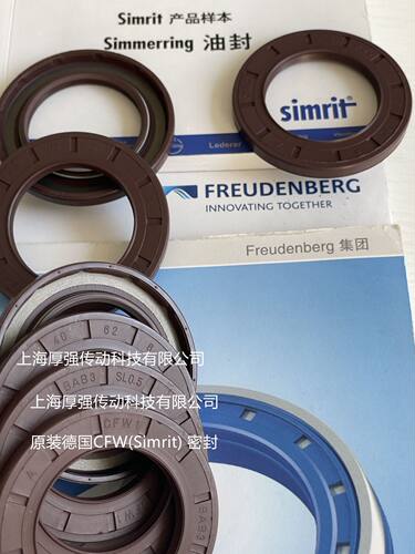 德国Simrit/FREUDENBERG高温高压油封CZ CFW 1 BAB3SL0.5 40-62-6