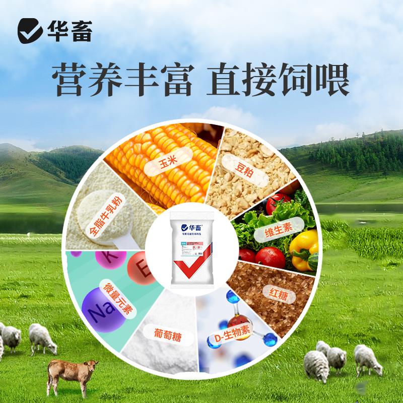 华畜羔羊开口料断奶小羊全价料饲料小羊专用料羊羔饲料养殖场专用