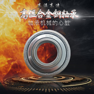 6308 6309ZZ耐高温500度高速 6307 窑炉烧烤炉高炉轴承6306