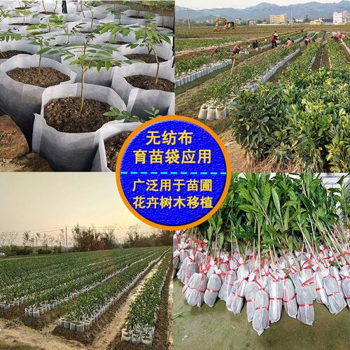 无纺布育苗袋营养袋可降解种植袋白色营养钵一次性花盆加厚育苗杯