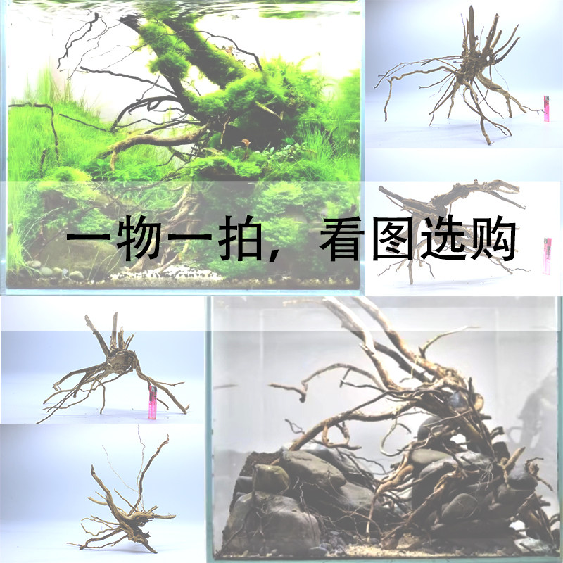 杜鹃根沉木枝条树形骨架鱼缸造景树根树桩精品小号莫斯树天然插花