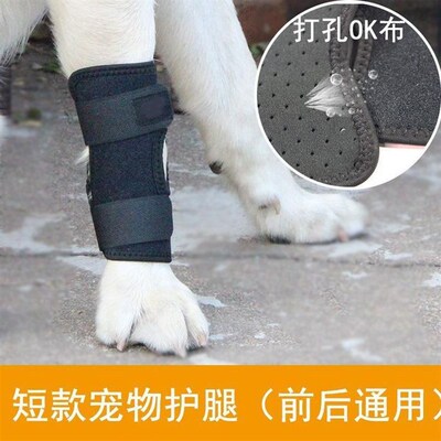 宠物猫狗狗后腿无力关节保护膝盖骨折绑带老年短腿狗护腿支架护套