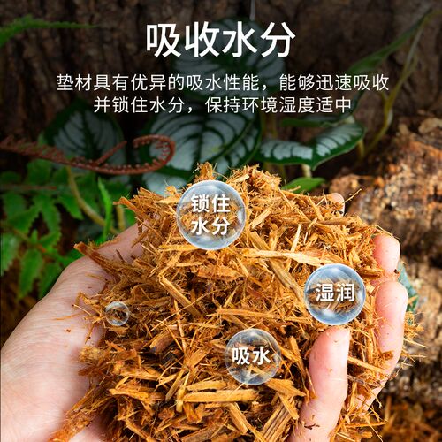 瑞皮Reptizoo森林地表爬虫爬宠垫材树皮守宫蛇陆乌龟鬃狮蜥蜴造景