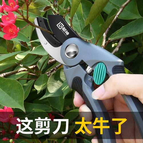 树枝专用花艺花卉枝剪子剪枝果树修枝剪园林工具花剪修剪园艺剪刀