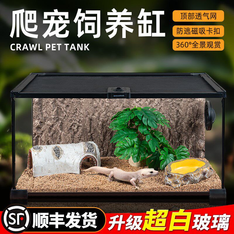 BG恒温爬宠饲养箱爬虫缸豹纹守宫鬃狮蜥蜴造景生态雨林防逃玻璃缸