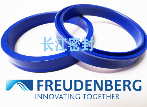 NA 300 63-53-12 32-24-5.7 75-60-12德国CFW进口油压缸活塞密封