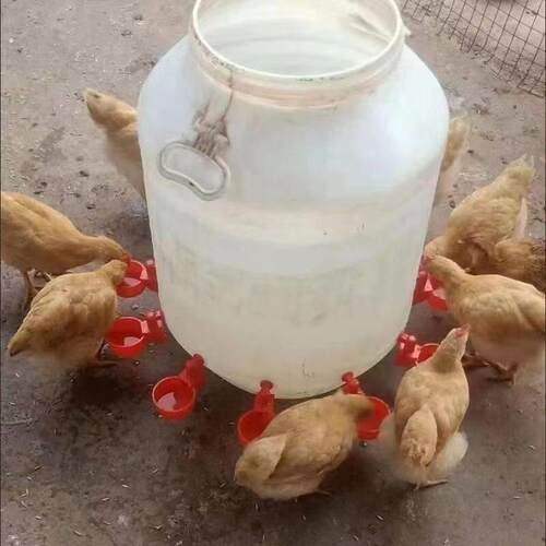 鸡鸭鹅家禽自动喂水器养殖专用水桶鸭鹅喂鸡自动饮水器鸽子饮水碗
