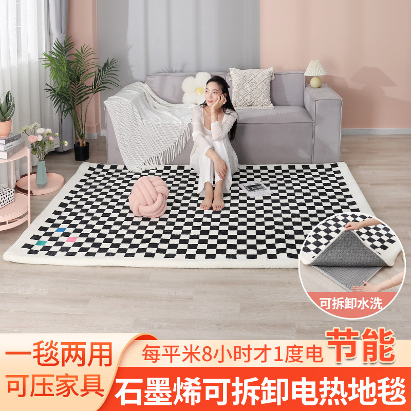 石墨烯电热地毯可拆卸水洗机洗家用客厅移动地暖垫电热垫暖脚垫子