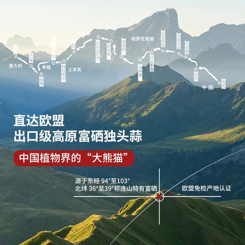 蒜卫士高原富硒独头黑蒜营养丰富直接吃煲汤多用途2颗/天肠道蠕动