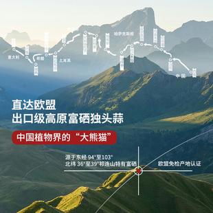 蒜卫士高原富硒独头黑蒜营养丰富直接吃煲汤多用途2颗 天肠道蠕动