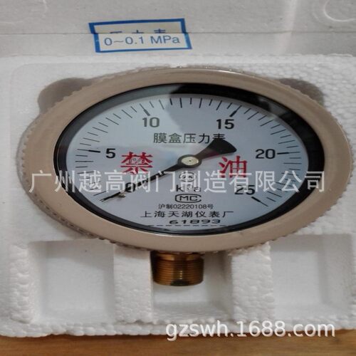 YTPN-100BF/MF耐震隔膜压力表