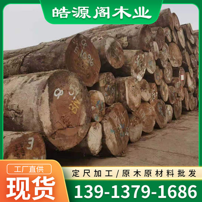 原木现货供应 漆木 产地所罗门1450方 一手货源 品质保证