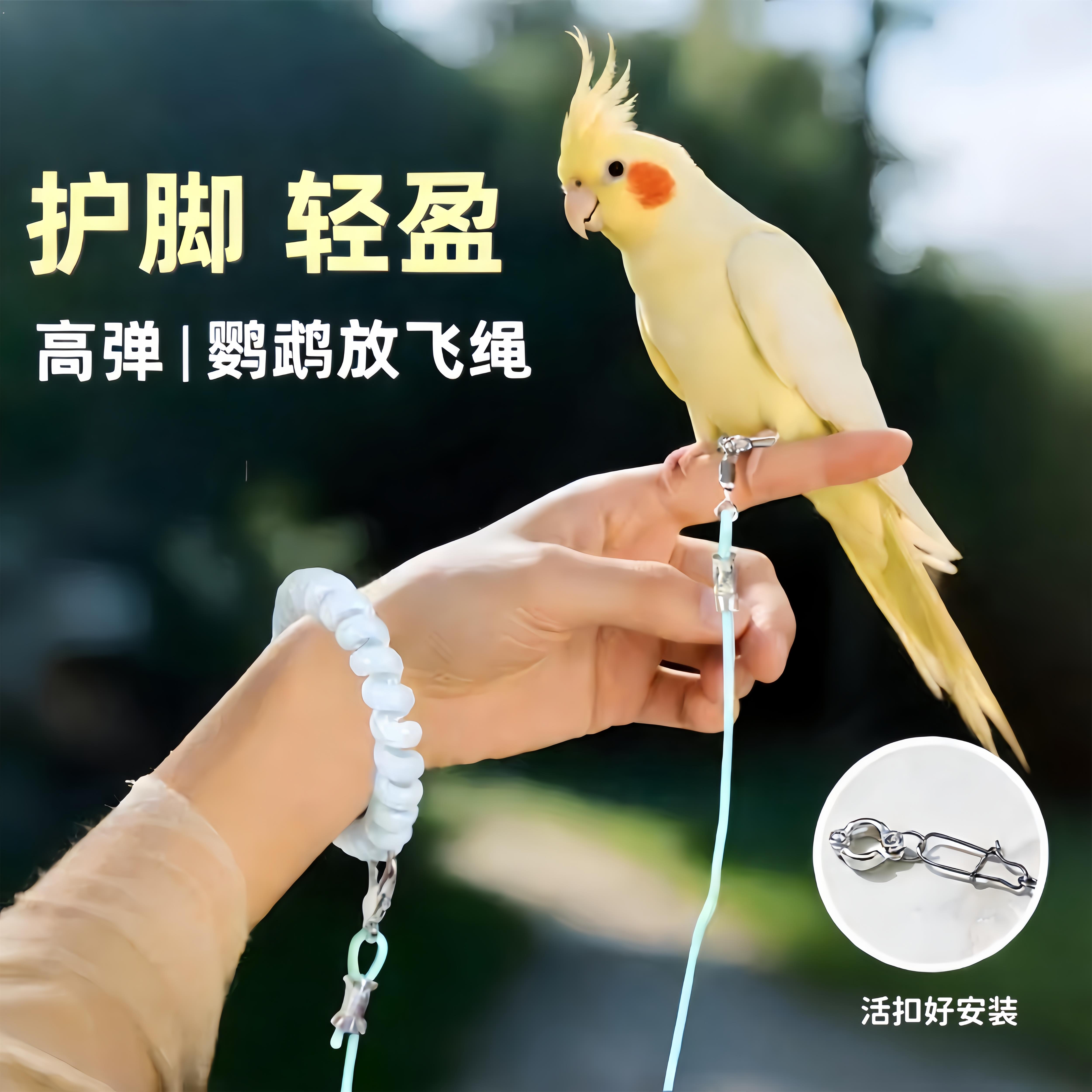 鹦鹉放飞绳不伤脚超轻牵引绳虎皮玄凤牡丹小太阳脚环脚链遛鸟绳