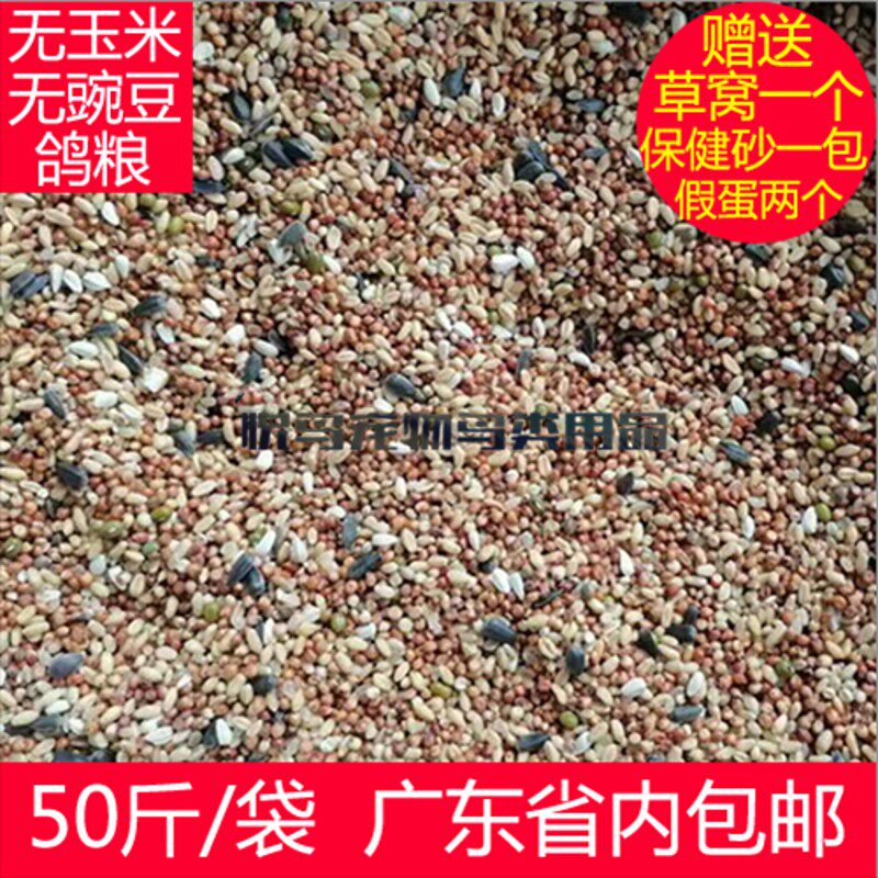 A级无玉米无豌豆鸽粮50斤广东包邮 鸟食 免邮鸽饲料 包邮广东
