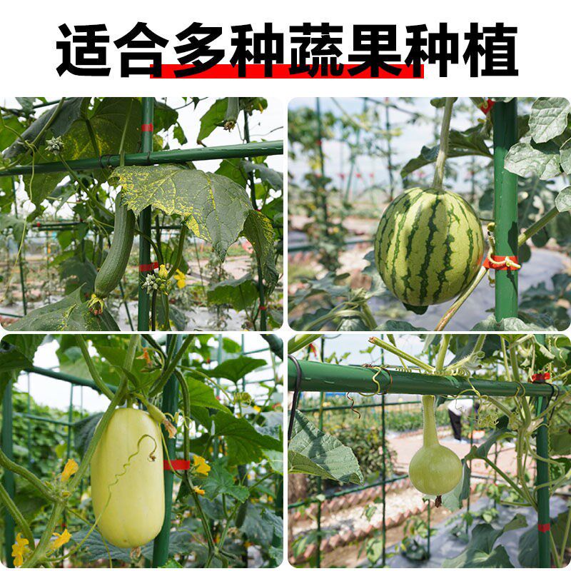 爬藤架黄瓜葡萄架豆角架花架丝瓜种菜阳台支架庭院户外植物支撑杆