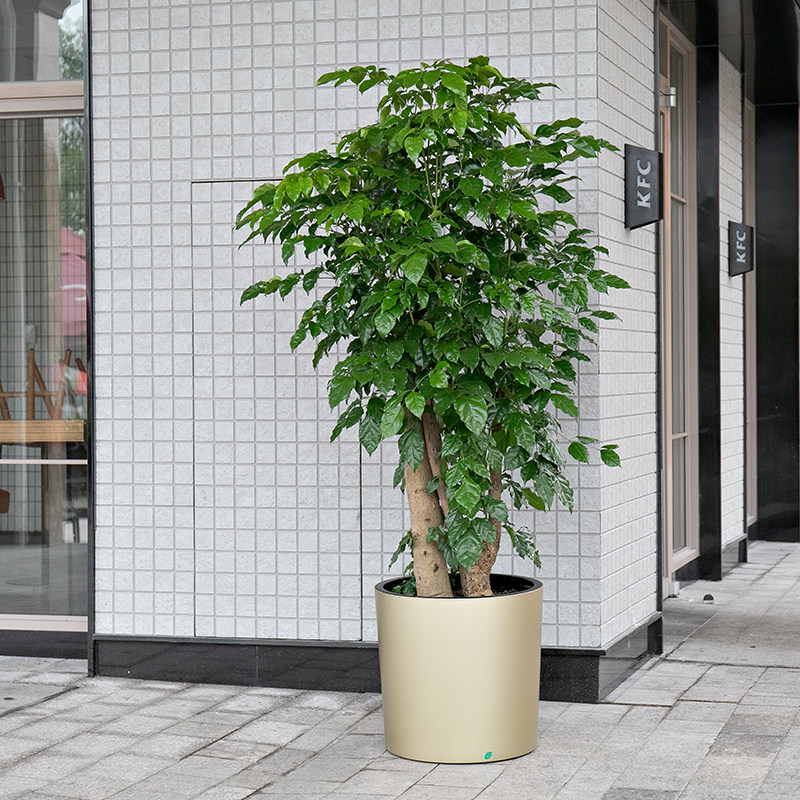 特大花盆圆形大口径别墅客厅落地种树大型盆栽塑料储水自吸水花盆