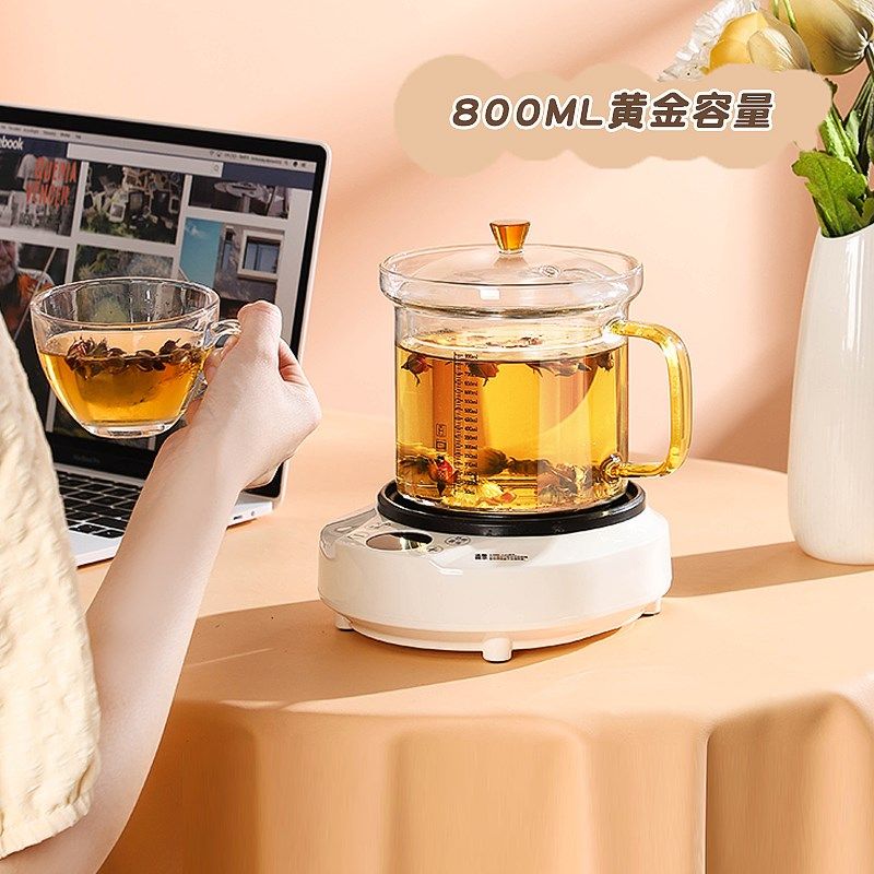 2024新款养生壶家用多功能煮粥办公室花茶煮茶器全玻璃分体式宿舍