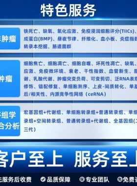 R语言Rstudio软件TwoSampleMR包孟德尔随机化包错误解决远程安装