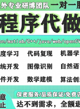 python代编程matlab算法代码定制深度学习javaC#C  程序代写C语言