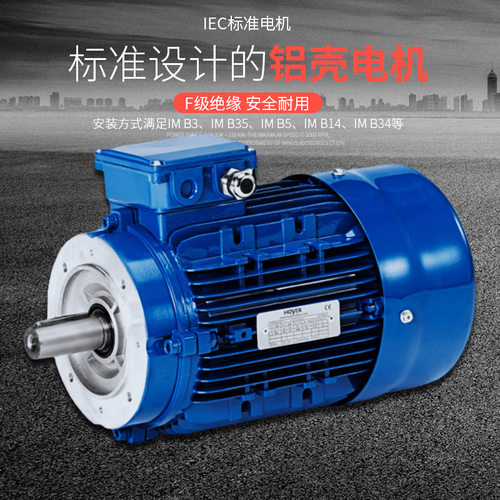 供应德国HOYER电机MS100L1-4 2.2KW