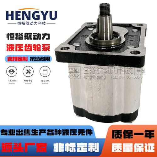 布雷维尼Brevini齿轮泵OT200P14D/G28P2 OT200P08D油泵 16D液压泵
