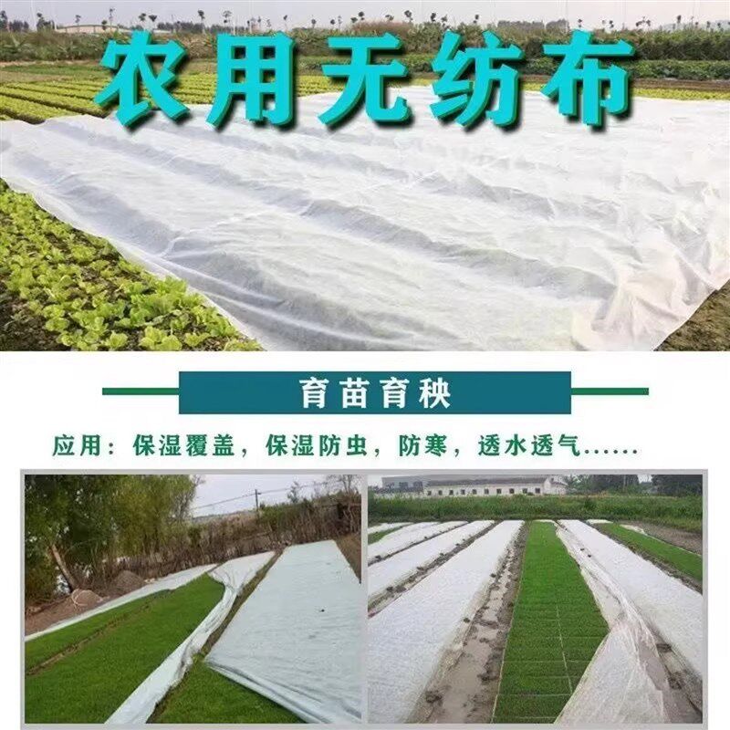 农用无纺布白色透气地膜农业育苗防寒覆盖膜大棚地膜透水透气防尘