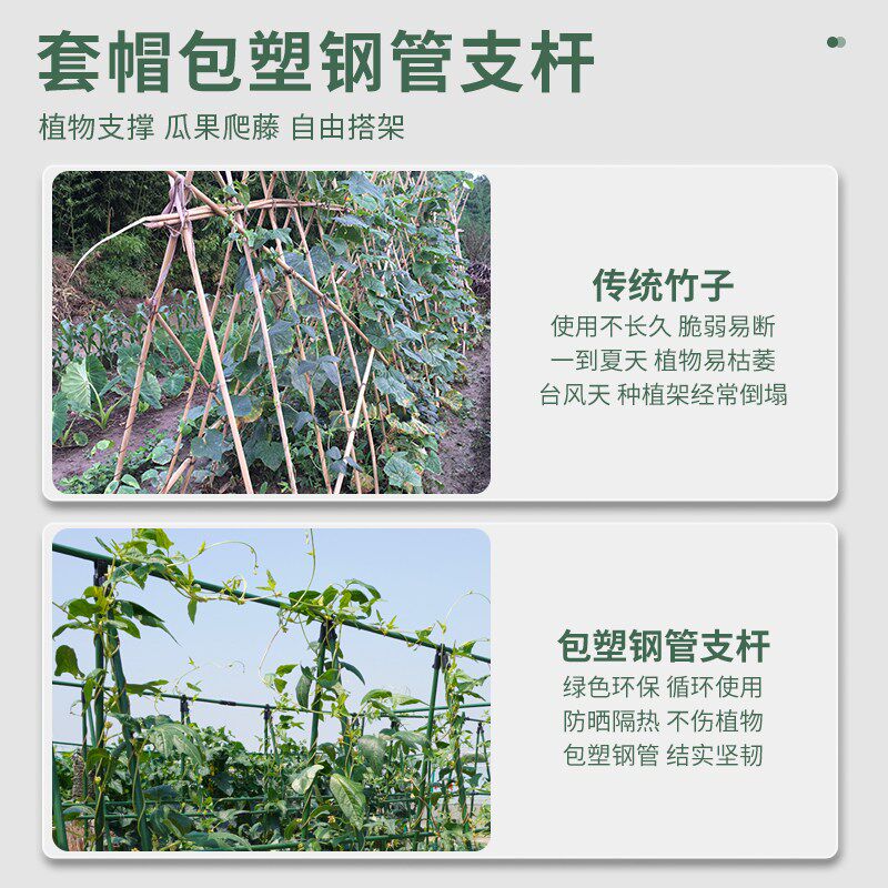 爬藤植物架子花架园艺支架包塑钢管支撑杆豆角番茄葡萄架庭院瓜架