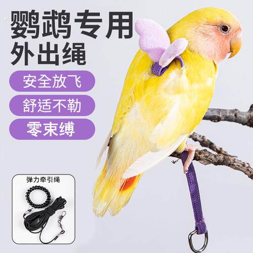 鹦鹉牵引绳超轻不勒外出抱婴袋训练溜鹦鹉鸟神器虎皮牡丹玄凤放飞