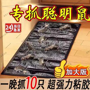 强力老鼠粘鼠板超强大号胶王中王大老鼠魔毯捕鼠神器家用老鼠贴