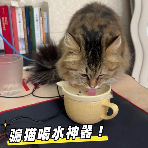 骗水神器人猫共用杯子猫咪碗防偷喝陶瓷不易打翻大口径马克杯可爱