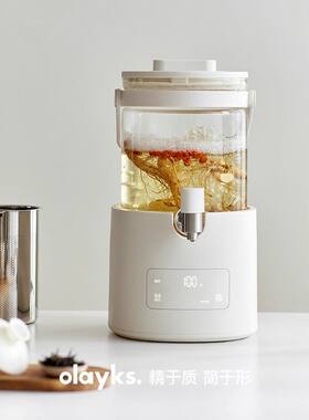 花茶水桶纯玻璃养生壶烧水煮茶
