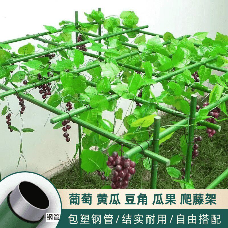 庭院葡萄专用架户外百香果爬藤架子立柱式牵引架猕猴桃南瓜葫芦架