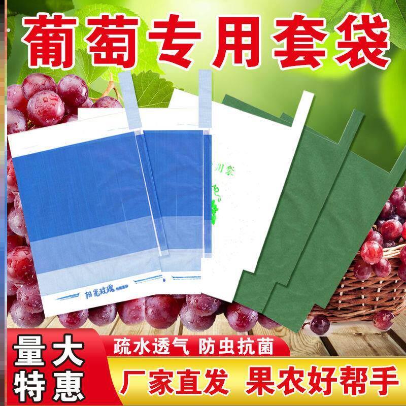 加厚葡萄专用套袋阳光玫瑰绿色三色袋防水防雨防虫防鸟育果纸袋