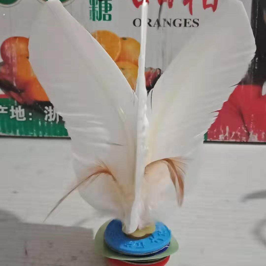 专享乃耐踢耐用比赛训练专用白色鹅毛毽子加厚橡胶大白毽