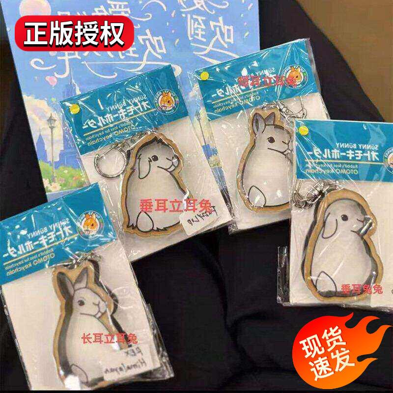 工厂好物小兔兔毛发收纳盒收集器钥匙扣挂件宠物收纳挂件二合一汽