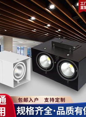 铝方通吊顶专用led灯方形方通cob双头明装格栅筒灯射灯天花斗胆灯