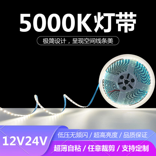 12V24V超薄自粘5000K色温LED灯带条户外防雨工程亮度展厅家装
