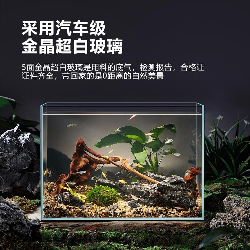 金晶超白鱼缸2025新款孔雀斗鱼专用玻璃缸客厅家用小型桌面乌龟缸图片