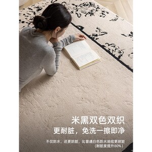 2024新款法式中古客厅地毯防水防污可擦免洗耐脏奶油风轻奢高级感
