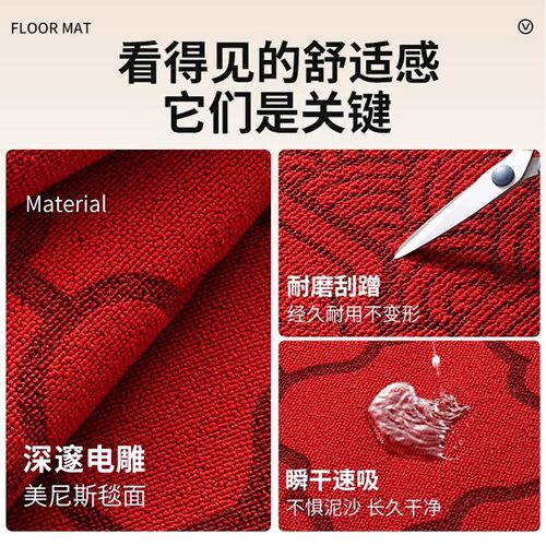 入户地垫2025新款高级家用玄关垫子防滑耐脏免洗可裁剪进门口脚垫