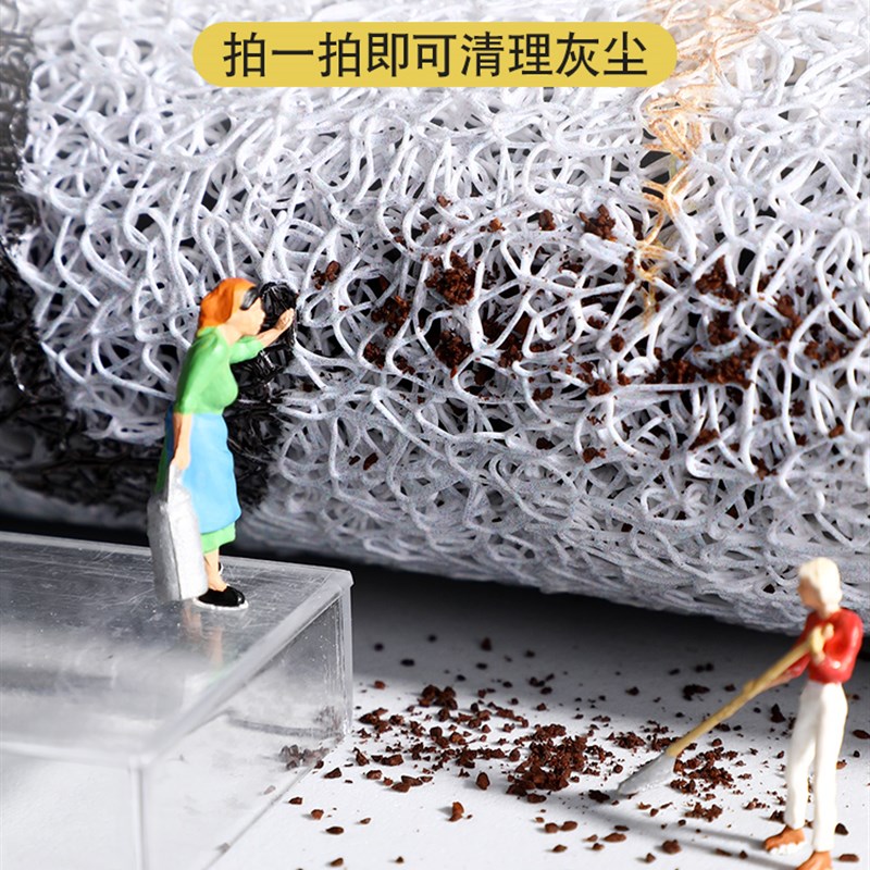 入户门进门口地垫玄关蹭土脚垫室内门前蹭土地毯塑料丝圈防滑垫子