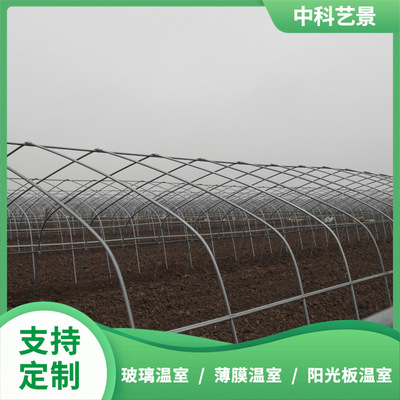 椭圆管温室厂家搭建 反季节蔬菜种植大棚 实地测量设计温室大棚