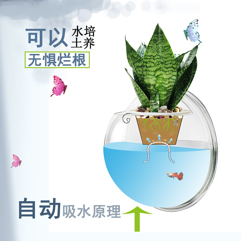 家居饰品墙面装饰壁挂鱼缸壁挂花盆水培绿萝植物吸甲醛瓷砖免打孔