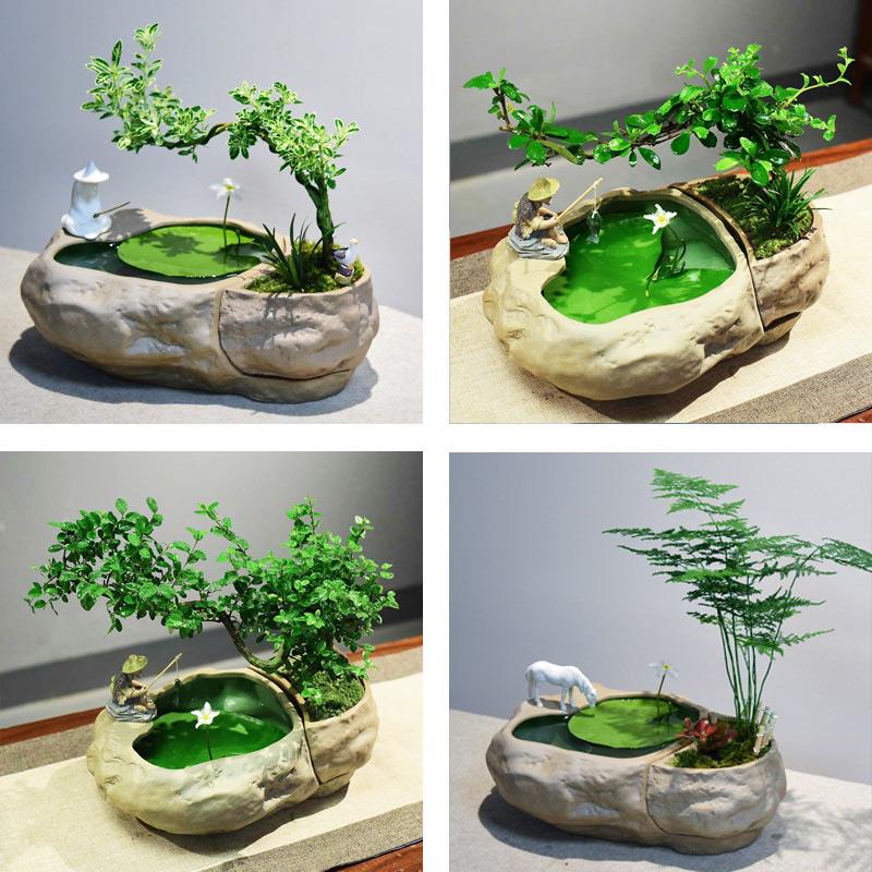 水培一叶莲植物黄杨绿植文竹小叶六月雪盆栽造型艺术米竹盆景室内