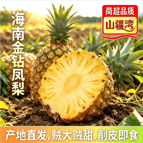 正宗海南金钻凤梨