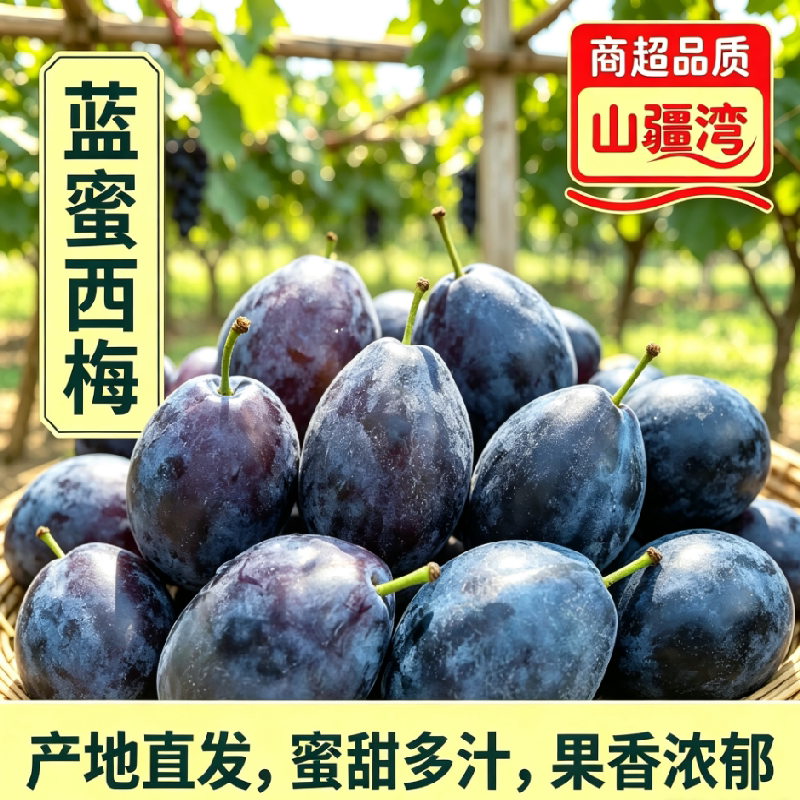 山疆湾阿坝蓝蜜西梅3斤顺丰直发