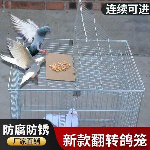 天落笼只进不出收鸽器自动翻转鸟笼鸽子笼天落笼旋转笼翻板笼加粗