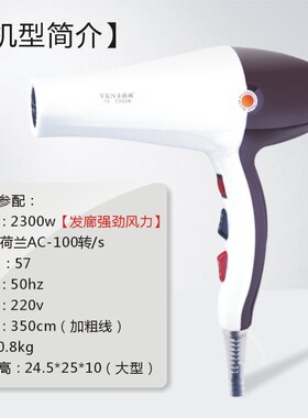 玉麒麟F8理发店发廊家用专业大功率变频吹卷吹直风筒吹风机3.5m线